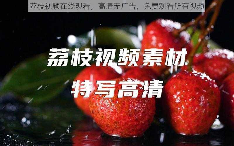 荔枝视频在线观看，高清无广告，免费观看所有视频