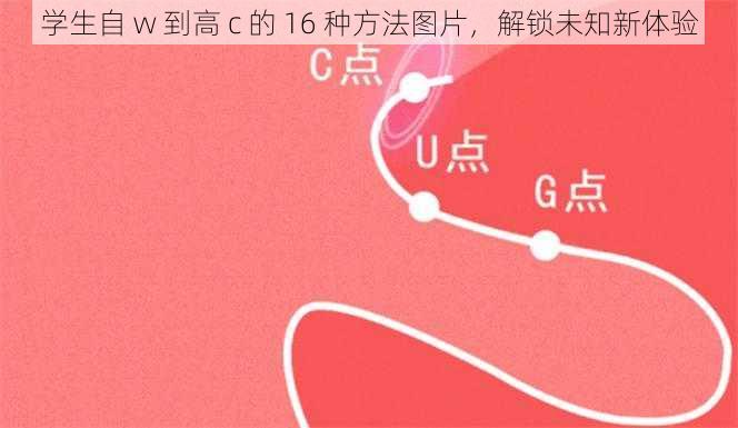 学生自 w 到高 c 的 16 种方法图片，解锁未知新体验