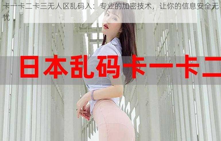 卡一卡二卡三无人区乱码入：专业的加密技术，让你的信息安全无忧