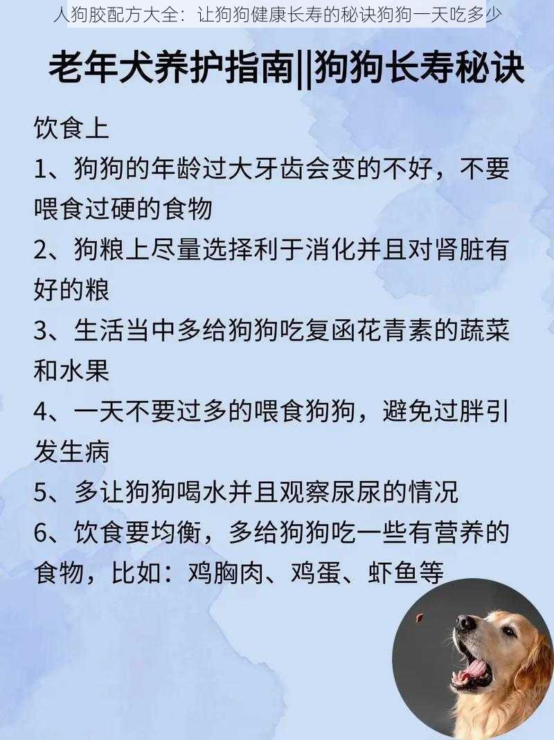 人狗胶配方大全：让狗狗健康长寿的秘诀狗狗一天吃多少