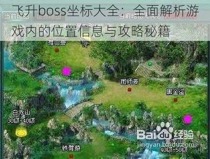 飞升boss坐标大全：全面解析游戏内的位置信息与攻略秘籍