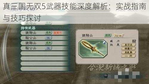 真三国无双5武器技能深度解析：实战指南与技巧探讨