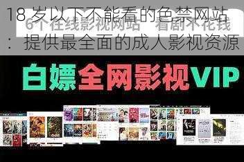 18 岁以下不能看的色禁网站：提供最全面的成人影视资源