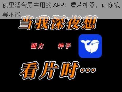 夜里适合男生用的 APP：看片神器，让你欲罢不能