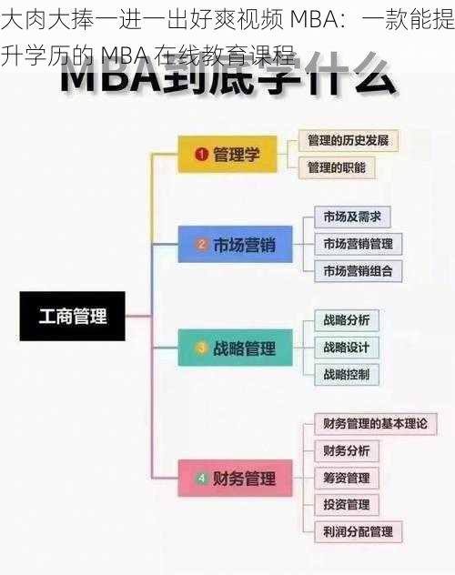 大肉大捧一进一出好爽视频 MBA：一款能提升学历的 MBA 在线教育课程