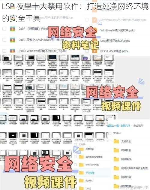 LSP 夜里十大禁用软件：打造纯净网络环境的安全工具