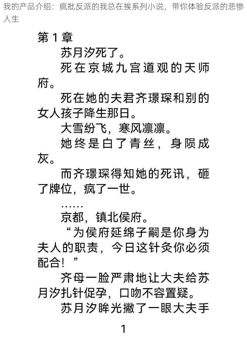 我的产品介绍：疯批反派的我总在挨系列小说，带你体验反派的悲惨人生