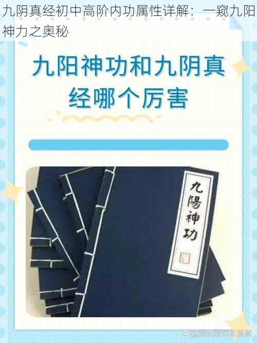 九阴真经初中高阶内功属性详解：一窥九阳神力之奥秘