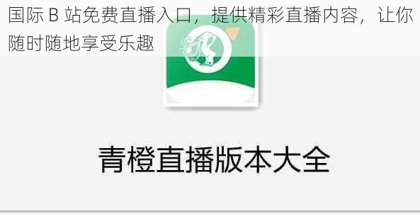 国际 B 站免费直播入口，提供精彩直播内容，让你随时随地享受乐趣