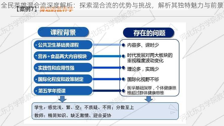 全民英雄混合流深度解析：探索混合流的优势与挑战，解析其独特魅力与前景