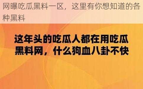 网曝吃瓜黑料一区，这里有你想知道的各种黑料