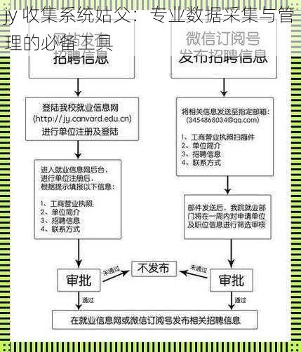 jy 收集系统姑父：专业数据采集与管理的必备工具