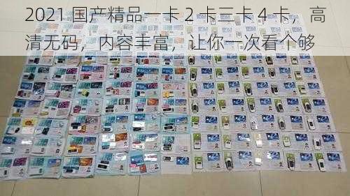 2021 国产精品一卡 2 卡三卡 4 卡，高清无码，内容丰富，让你一次看个够