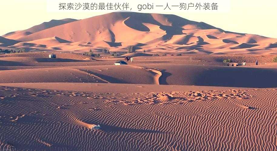 探索沙漠的最佳伙伴，gobi 一人一狗户外装备