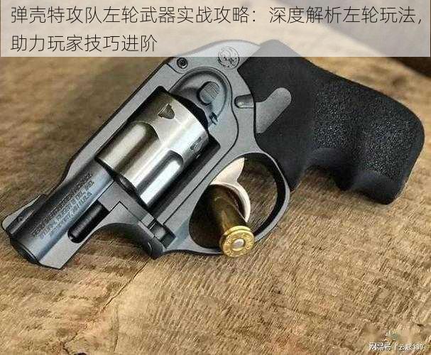 弹壳特攻队左轮武器实战攻略：深度解析左轮玩法，助力玩家技巧进阶