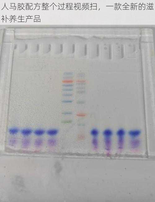 人马胶配方整个过程视频扫，一款全新的滋补养生产品