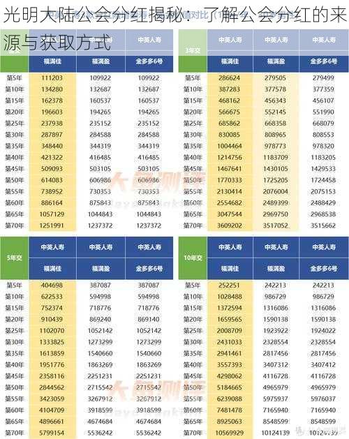 光明大陆公会分红揭秘：了解公会分红的来源与获取方式