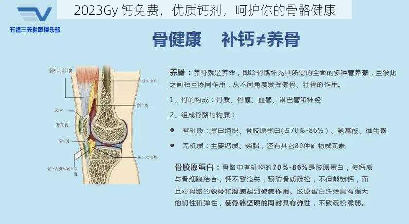 2023Gy 钙免费，优质钙剂，呵护你的骨骼健康