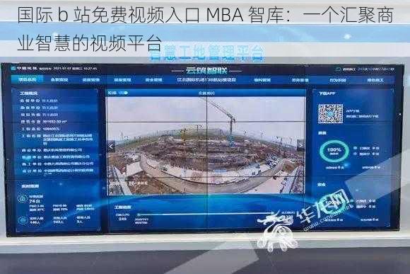 国际 b 站免费视频入口 MBA 智库：一个汇聚商业智慧的视频平台