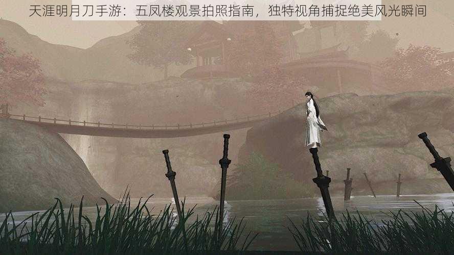 天涯明月刀手游：五凤楼观景拍照指南，独特视角捕捉绝美风光瞬间