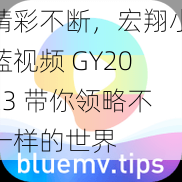 精彩不断，宏翔小蓝视频 GY2023 带你领略不一样的世界