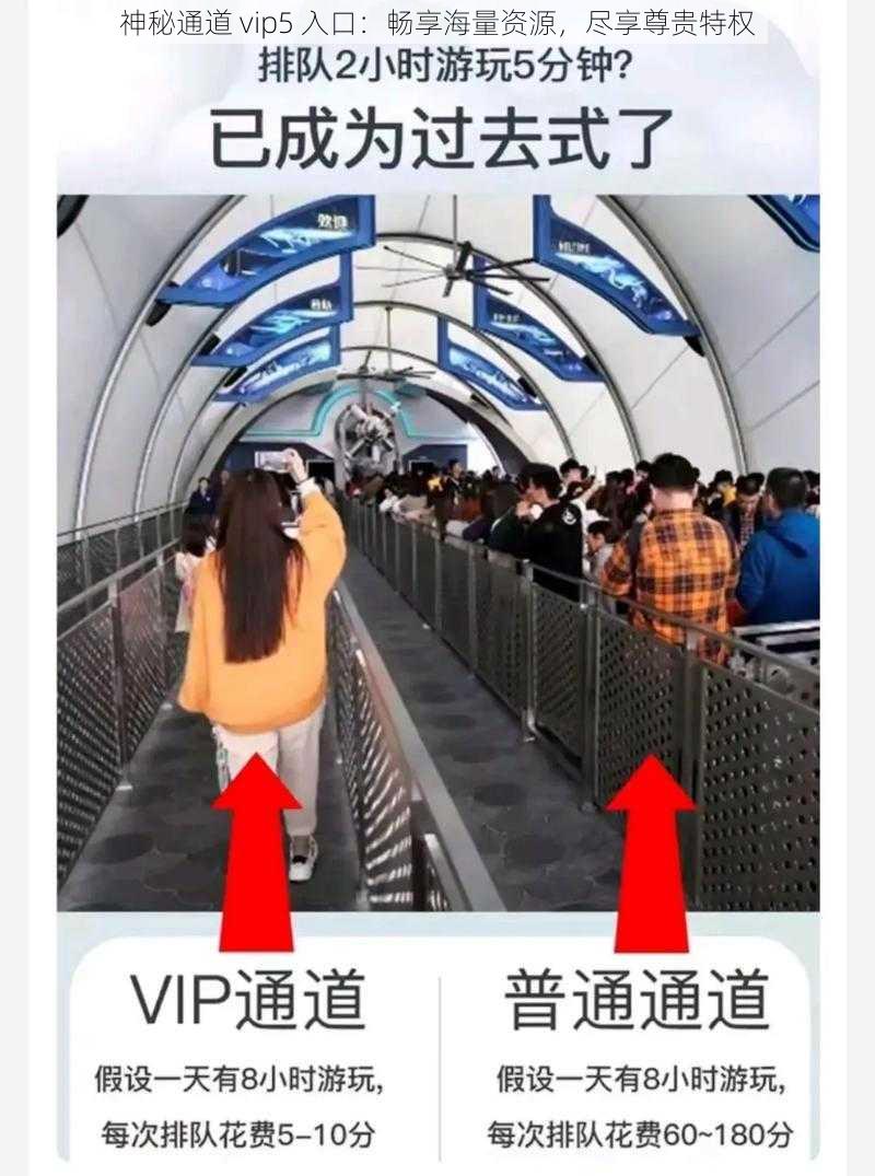 神秘通道 vip5 入口：畅享海量资源，尽享尊贵特权