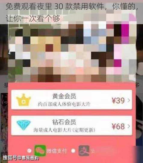 免费观看夜里 30 款禁用软件，你懂的，让你一次看个够