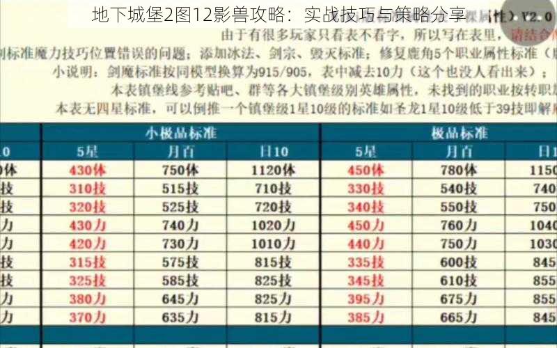 地下城堡2图12影兽攻略：实战技巧与策略分享