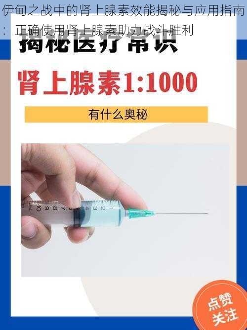 伊甸之战中的肾上腺素效能揭秘与应用指南：正确使用肾上腺素助力战斗胜利