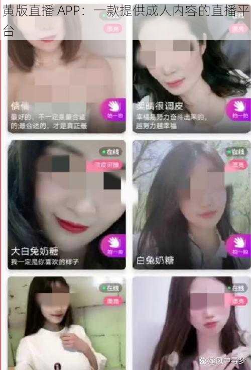 黄版直播 APP：一款提供成人内容的直播平台