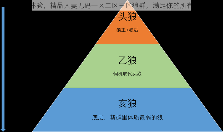 全新体验，精品人妻无码一区二区三区狼群，满足你的所有想象