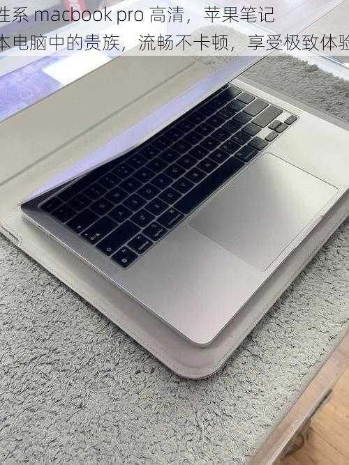 性系 macbook pro 高清，苹果笔记本电脑中的贵族，流畅不卡顿，享受极致体验