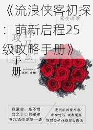 《流浪侠客初探：萌新启程25级攻略手册》