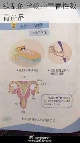 欲乱的学校的青春性教育产品