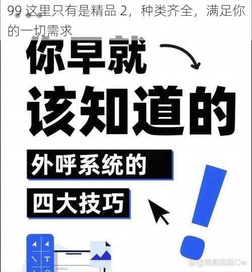 99 这里只有是精品 2，种类齐全，满足你的一切需求