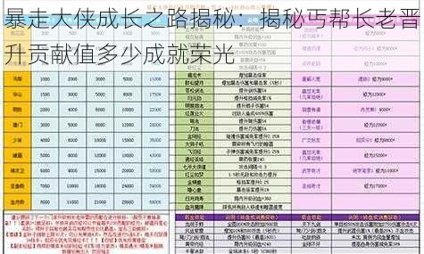 暴走大侠成长之路揭秘：揭秘丐帮长老晋升贡献值多少成就荣光