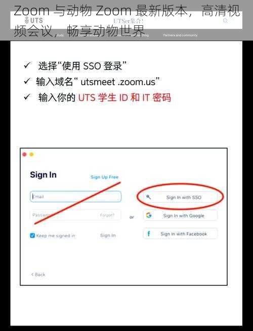 Zoom 与动物 Zoom 最新版本，高清视频会议，畅享动物世界