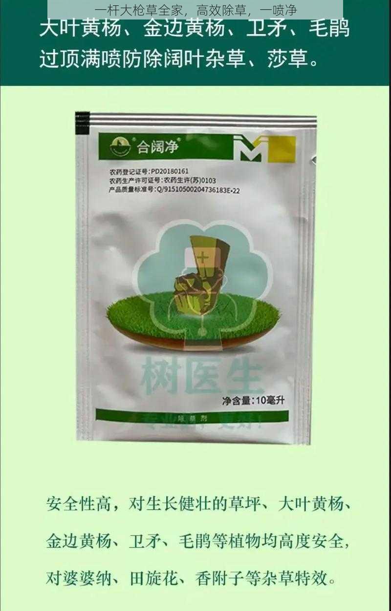 一杆大枪草全家，高效除草，一喷净