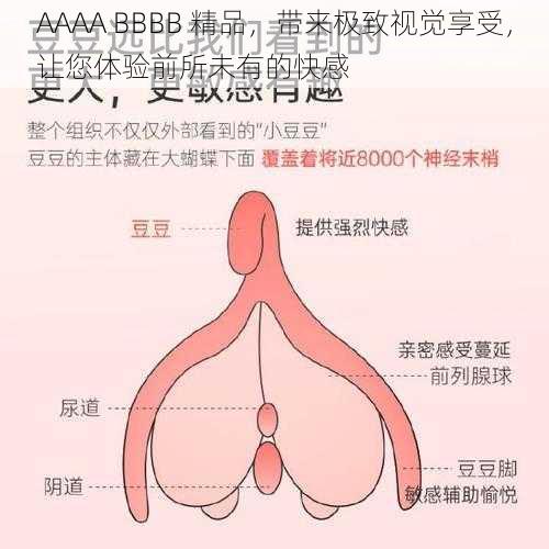 AAAA BBBB 精品，带来极致视觉享受，让您体验前所未有的快感