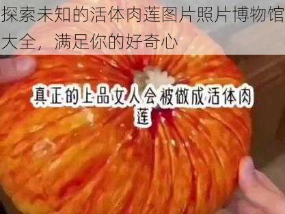 探索未知的活体肉莲图片照片博物馆大全，满足你的好奇心