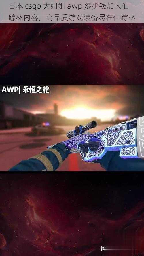 日本 csgo 大姐姐 awp 多少钱加入仙踪林内容，高品质游戏装备尽在仙踪林