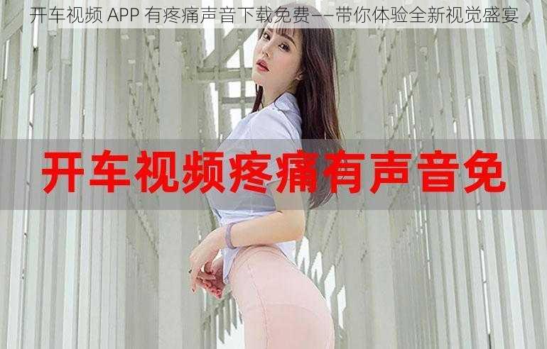 开车视频 APP 有疼痛声音下载免费——带你体验全新视觉盛宴