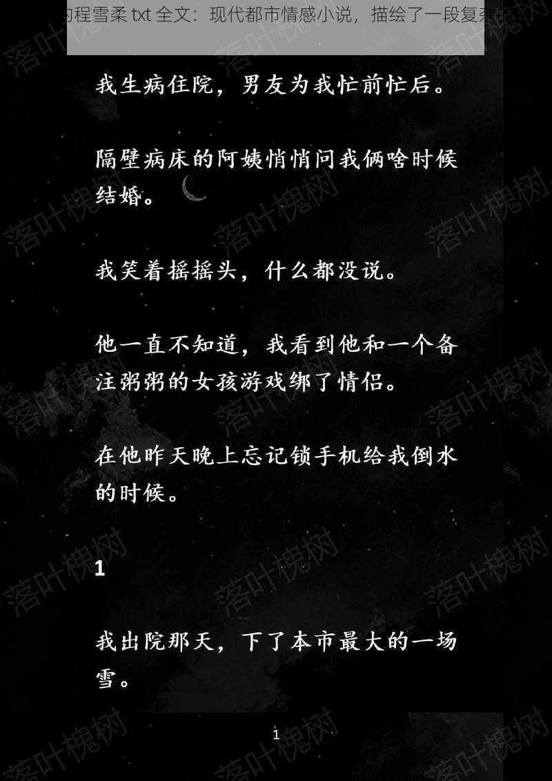 公车上的程雪柔 txt 全文：现代都市情感小说，描绘了一段复杂的爱情故事