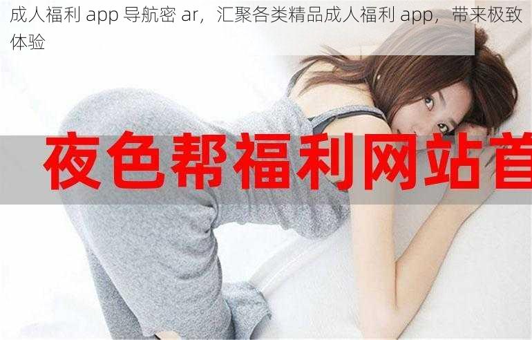 成人福利 app 导航密 ar，汇聚各类精品成人福利 app，带来极致体验