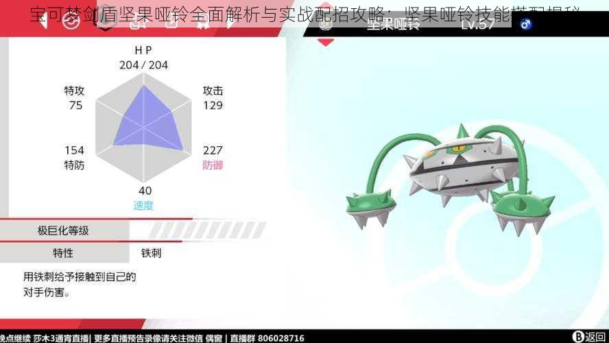 宝可梦剑盾坚果哑铃全面解析与实战配招攻略：坚果哑铃技能搭配揭秘