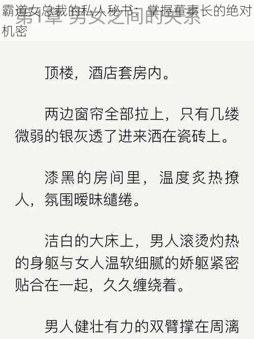 霸道女总裁的私人秘书：掌握董事长的绝对机密