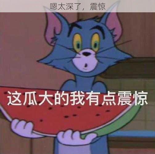 嗯太深了，震惊