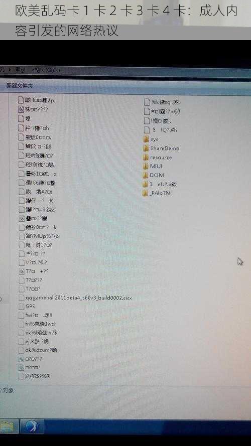 欧美乱码卡 1 卡 2 卡 3 卡 4 卡：成人内容引发的网络热议