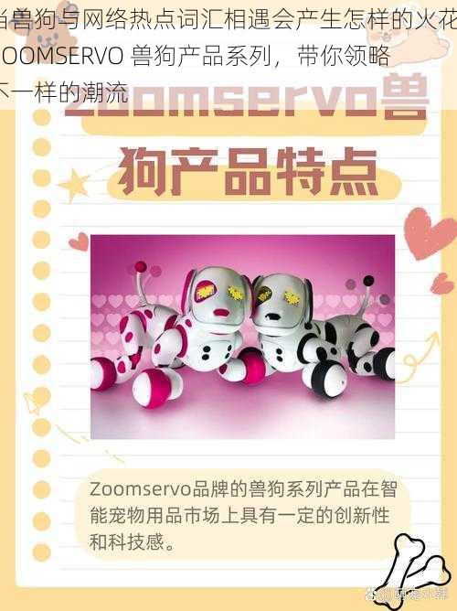 当兽狗与网络热点词汇相遇会产生怎样的火花？ZOOMSERVO 兽狗产品系列，带你领略不一样的潮流