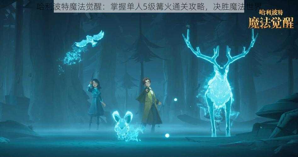 哈利波特魔法觉醒：掌握单人5级篝火通关攻略，决胜魔法世界